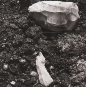 A late Mesolithic lithic scatter, Michael Rainsford 1999.